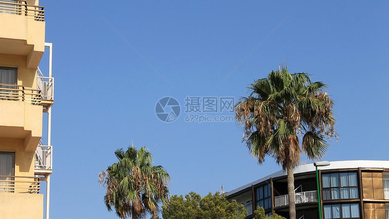 选址要点：地段与交通便利性